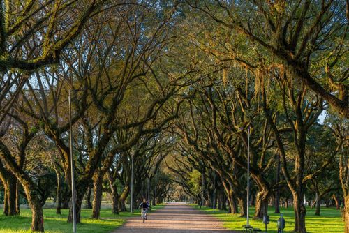 Parque Marinha do Brasil 
