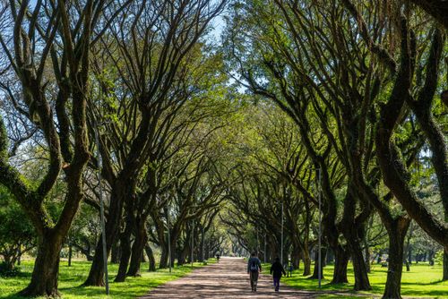 Parque Marinha do Brasil 