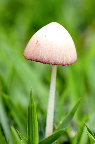 05EG154