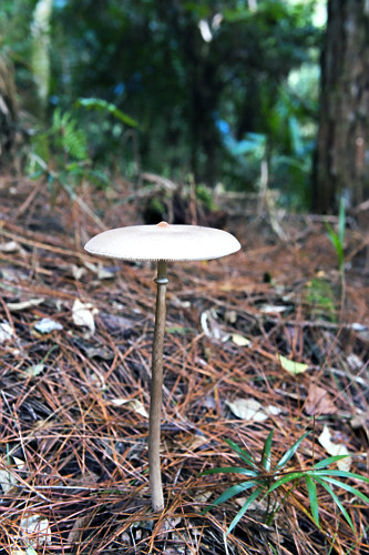 05EG277