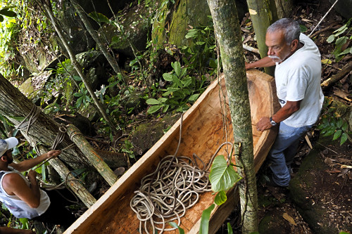 Caiçaras puxando canoa feita de tronco de ingá e espulpida na mata para ser levada ao mar - Vila de Trindade