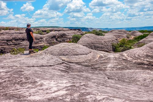 05LH246