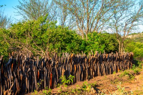 Cerca de varas de madeira - construção típica para animais que vivem na caatinga