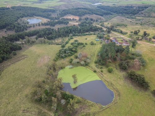 Vista de drone de açude em estância de 1790 - ao fundo plantação de eucaliptos