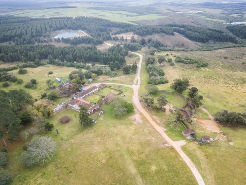 Vista de drone de estância de 1790 - ao fundo plantação de eucaliptos