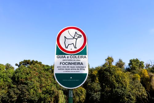 Placa com orientações aos tutores de cães para uso de guia e coleira e para raças violentas o uso de focin