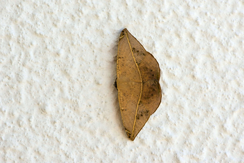 06EG457