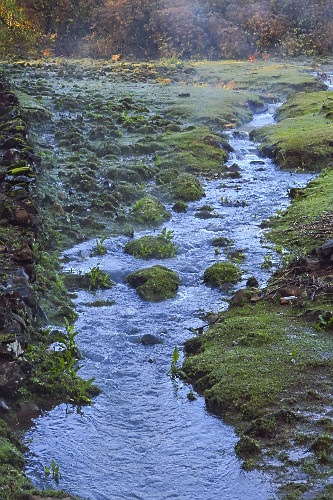 Riacho na Serra Gaúcha - 