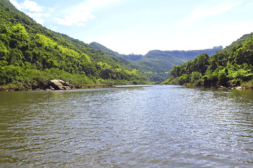Rio das Antas e vegetação de mata atlântica ao fundo - 