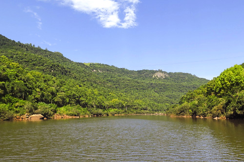 Vegetação de mata atlântica - Rio das Antas - 