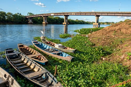 Barcos de pesca na margem do Rio Poti - ao fundo Ponte do Poty Velho