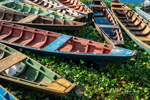 Barcos de pesca no Rio Poti 