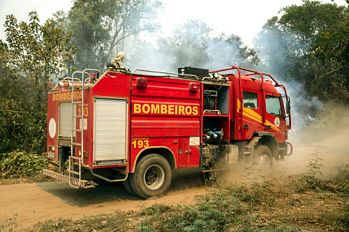 06MF710