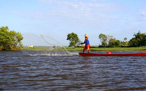 Pescador no Rio Pericumã que circunda a cidade de Pinheiro na região norte do MA - região da baixada maranh