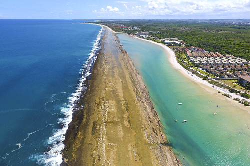 Vista de drone de arrecife na Praia de Muro Alto - Porto de Galinhas - 