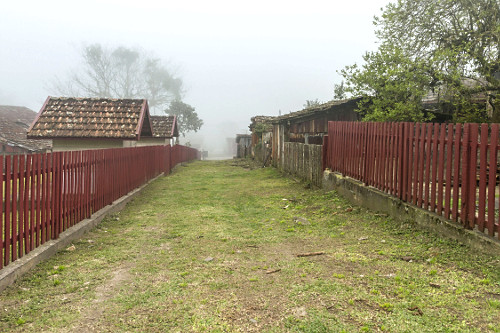 07DZ008