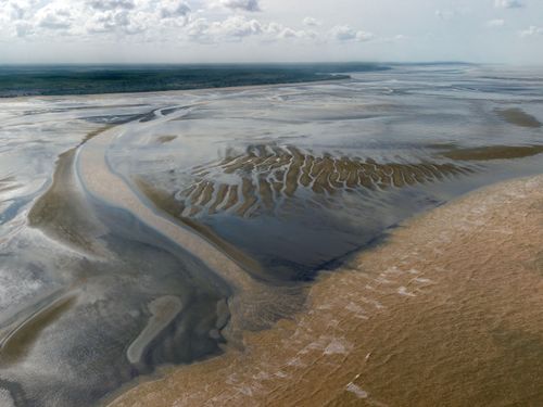 Vista de drone da Praia do Goiabal com maré baixa - última praia oceânica do Brasil