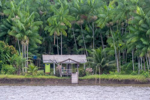 Casa de madeira típica de comunidades ribeirinhas na margem do Rio Amazonas - Ilha de Marajó