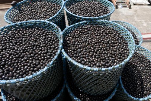 Cestos de açaí à venda 