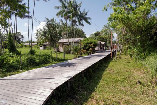 Passarela de madeira de acesso às casas flutuantes em área alagável do rio - o município não têm automó