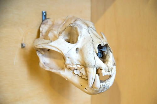 07EG328