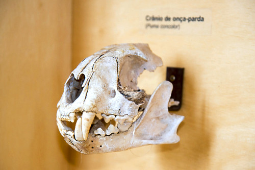 07EG329