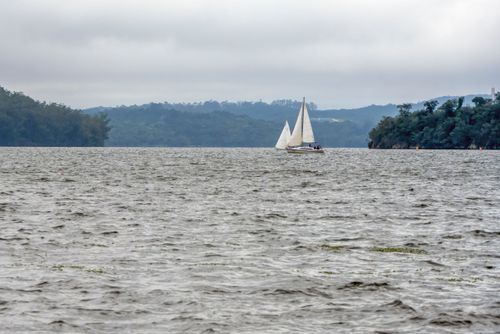 08EG274