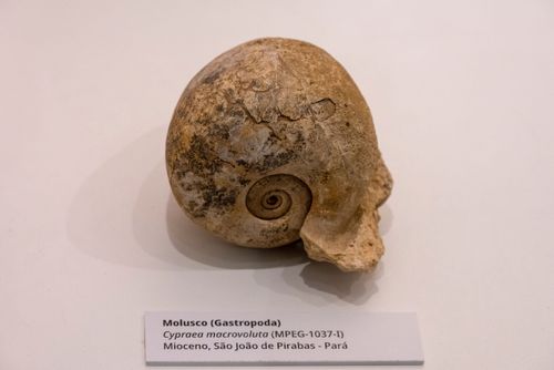 08EG370