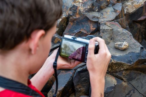 Menino de 10 anos fotografando fóssil de trilobita - animal marinho extinto - à venda no MAGMA Museu Aberto 