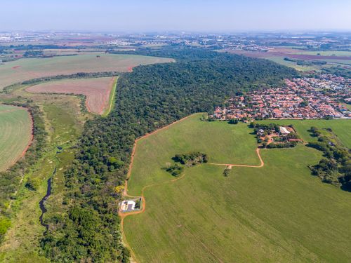 Vista de drone da Área de Relevante Interesse Ecológico Mata Santa Genebra - ARIE