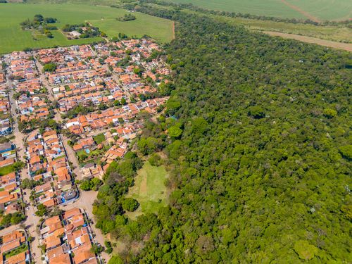 Vista de drone da Área de Relevante Interesse Ecológico Mata Santa Genebra - ARIE