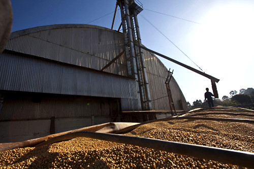 Soja sendo retirada de silo para carregamento de caminhão em cooperativa na cidade de Londrina
