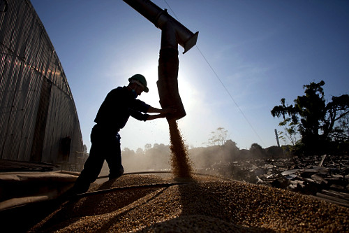 Soja sendo retirada de silo para carregamento de caminhão em cooperativa na cidade de Londrina