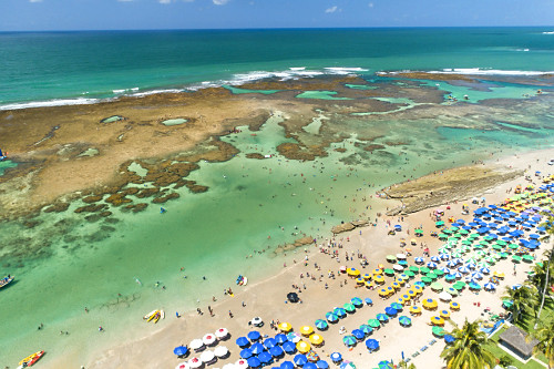 Vista de drone de piscinas naturais na praia de Porto de Galinhas - APA Área de Proteção Ambiental Costa do