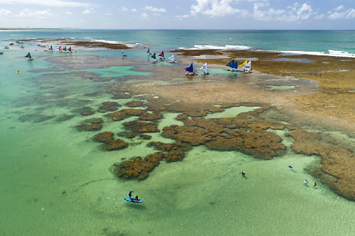 Vista de drone de piscinas naturais na praia de Porto de Galinhas - APA Área de Proteção Ambiental Costa do