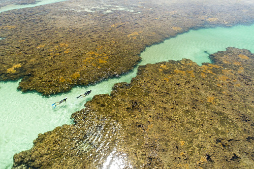 Vista de drone de prática de snorkeling nas piscinas naturais na praia de Porto de Galinhas - APA Área de Pr