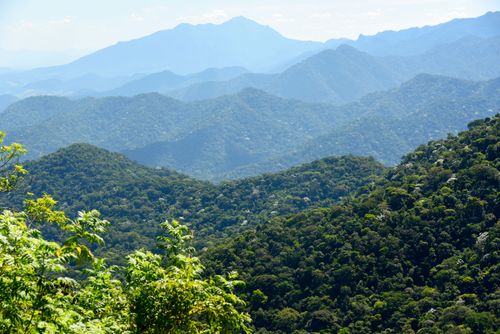 Paisagem da Serra do Mar