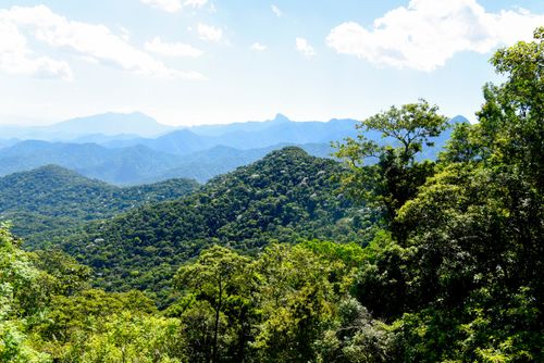 Paisagem da Serra do Mar