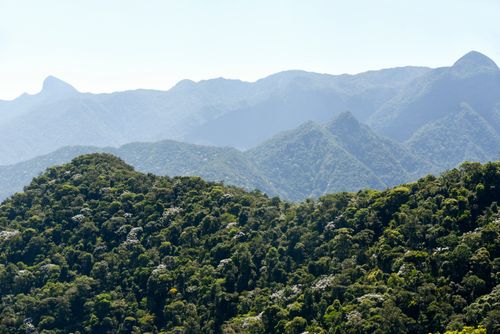 Paisagem da Serra do Mar