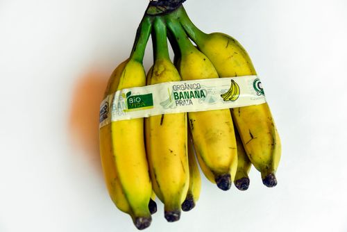Comércio de cacho de banana prata orgânica - embalado com fita de certificação