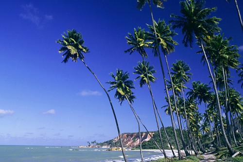 Praia de Tabatinga
