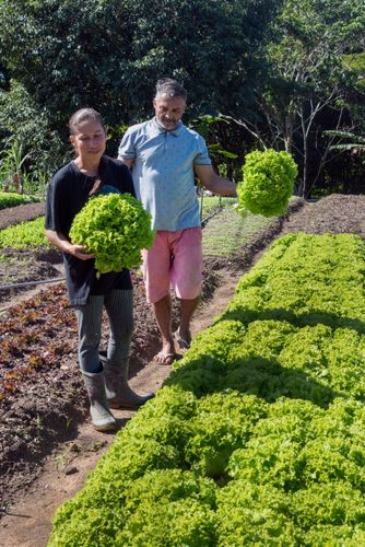 10CHF045