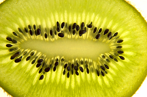 Kiwi fatiado