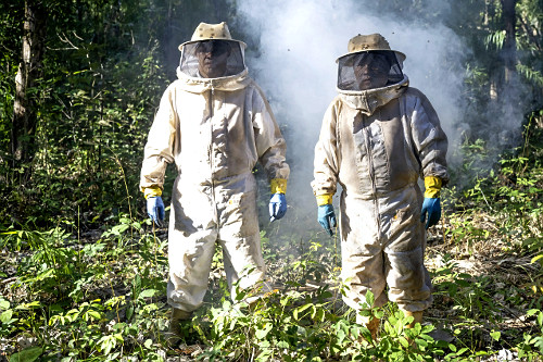 Indígenas Kuikuro na aldeia Ipatsé vestidos com roupa de proteção para trabalho no projeto Mel do Xingu -