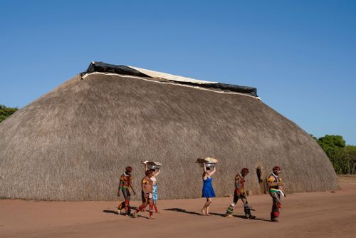 Indígenas da etnia Kuikuro da aldeia Ipatse pintados para ritual de Tawarawana - Parque Indígena do Xingu
