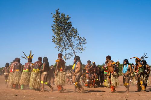 Indígenas Kuikuro da aldeia Ipatse com saias de palha no ritual de Tawarawana - Parque Indígena do Xingu