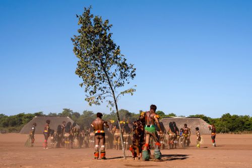 Indígenas Kuikuro da aldeia Ipatse durante o ritual do Tawarawana - Parque Indígena do Xingu