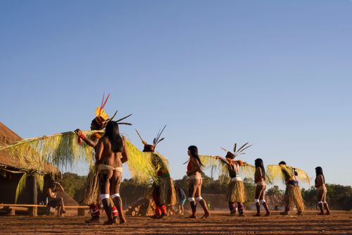 Indígenas Kuikuro da aldeia Ipatse com galhos de palha no ritual do Tawarawana - Parque Indígena do Xingu