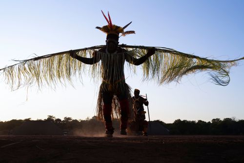 Indígenas Kuikuro da aldeia Ipatse com galhos de palha no ritual do Tawarawana - Parque Indígena do Xingu