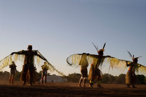 Indígenas Kuikuro da aldeia Ipatse com galhos de palha no ritual do Tawarawana - Parque Indígena do Xingu